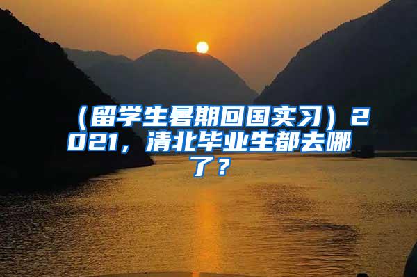 （留学生暑期回国实习）2021，清北毕业生都去哪了？