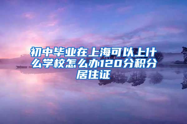 初中毕业在上海可以上什么学校怎么办120分积分居住证