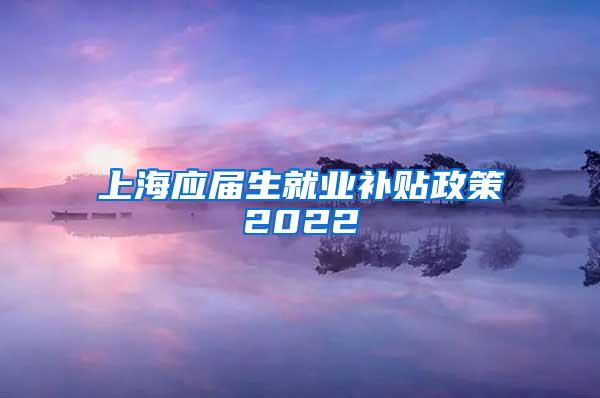 上海应届生就业补贴政策2022