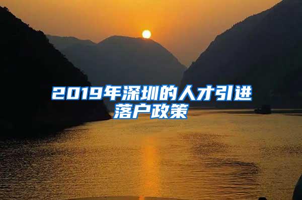 2019年深圳的人才引进落户政策