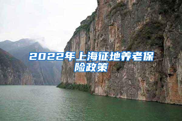 2022年上海征地养老保险政策