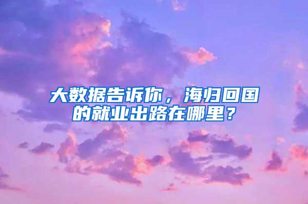 大数据告诉你，海归回国的就业出路在哪里？