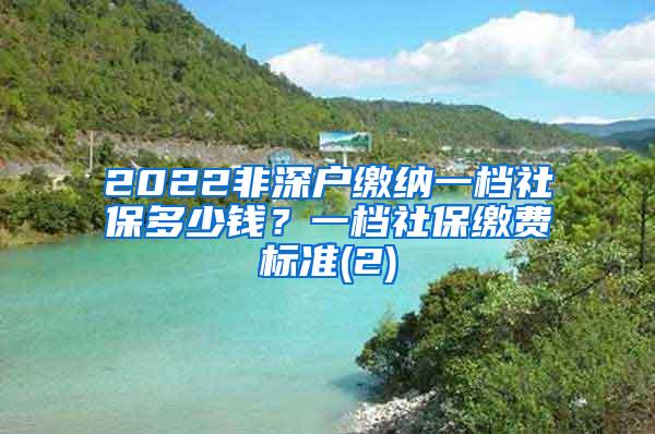 2022非深户缴纳一档社保多少钱？一档社保缴费标准(2)