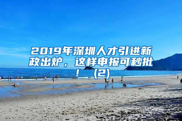 2019年深圳人才引进新政出炉，这样申报可秒批！ (2)