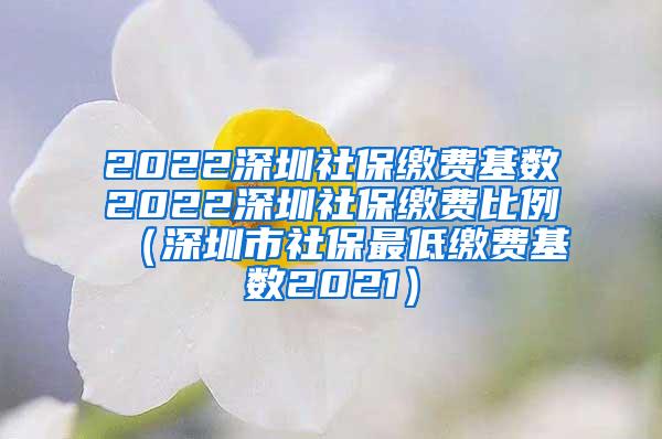 2022深圳社保缴费基数2022深圳社保缴费比例（深圳市社保最低缴费基数2021）