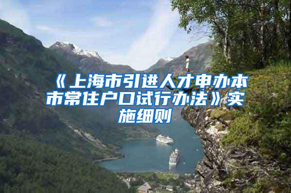 《上海市引进人才申办本市常住户口试行办法》实施细则