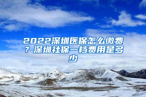 2022深圳医保怎么缴费？深圳社保一档费用是多少