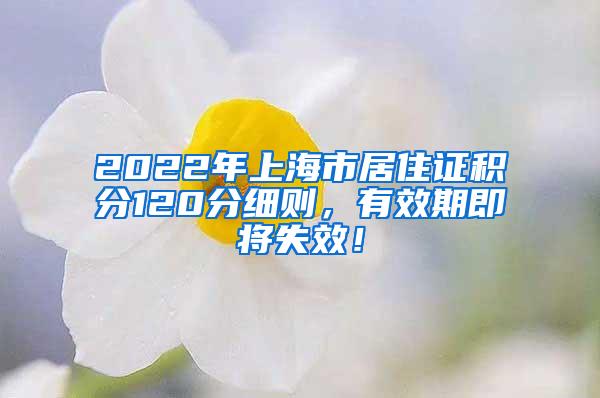 2022年上海市居住证积分120分细则，有效期即将失效！