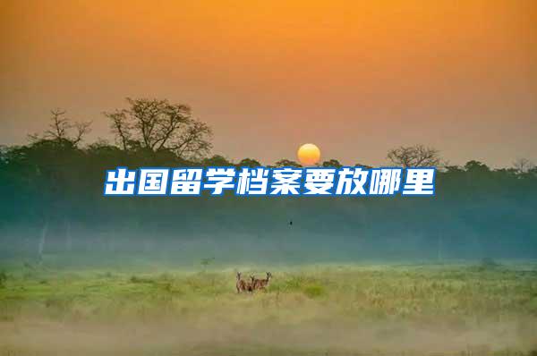 出国留学档案要放哪里