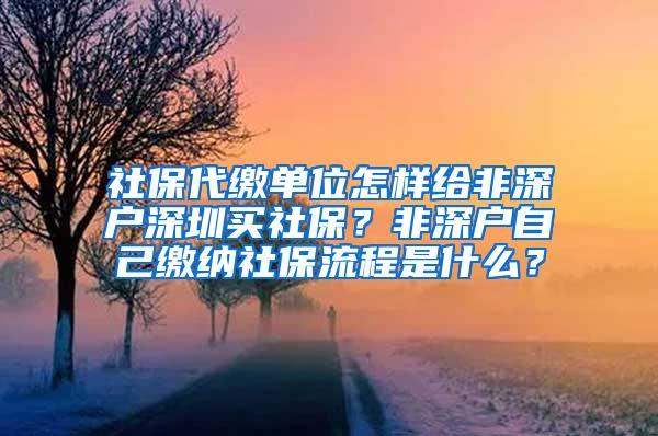 社保代缴单位怎样给非深户深圳买社保？非深户自己缴纳社保流程是什么？