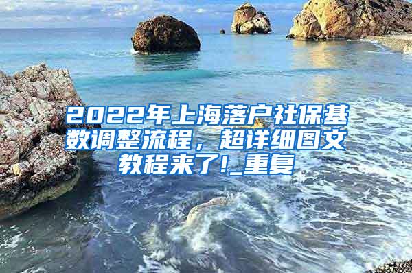 2022年上海落户社保基数调整流程，超详细图文教程来了!_重复