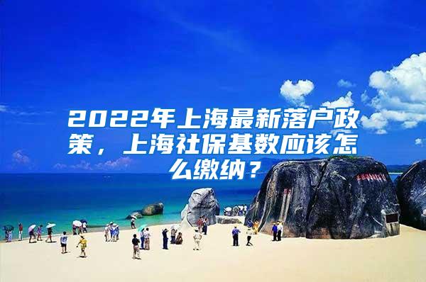 2022年上海最新落户政策，上海社保基数应该怎么缴纳？