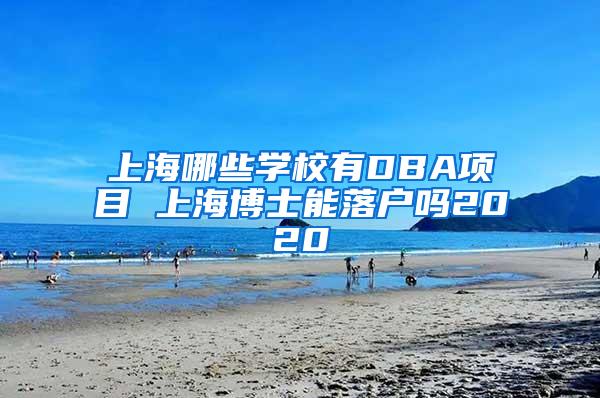 上海哪些学校有DBA项目 上海博士能落户吗2020