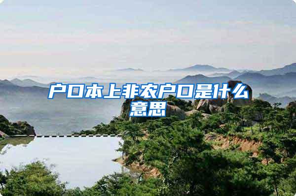 户口本上非农户口是什么意思