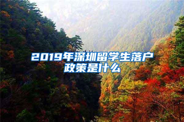 2019年深圳留学生落户政策是什么