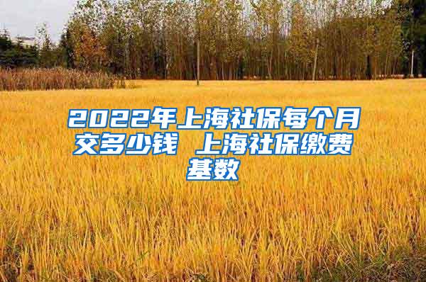 2022年上海社保每个月交多少钱 上海社保缴费基数