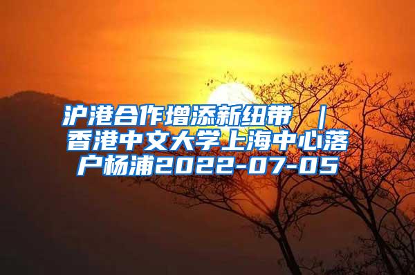 沪港合作增添新纽带 ｜ 香港中文大学上海中心落户杨浦2022-07-05