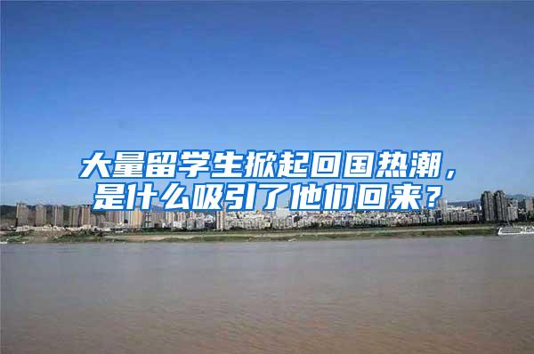 大量留学生掀起回国热潮，是什么吸引了他们回来？