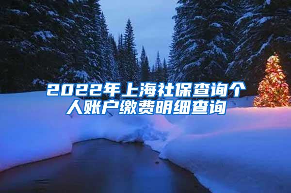 2022年上海社保查询个人账户缴费明细查询