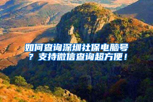 如何查询深圳社保电脑号？支持微信查询超方便！