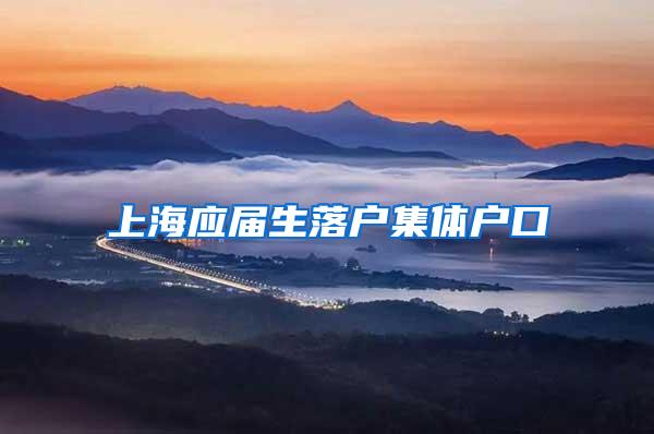 上海应届生落户集体户口