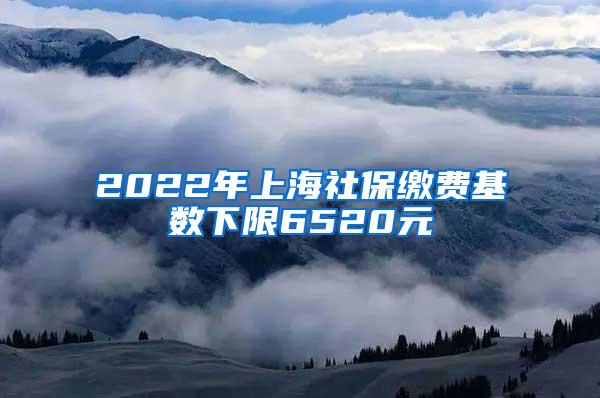 2022年上海社保缴费基数下限6520元