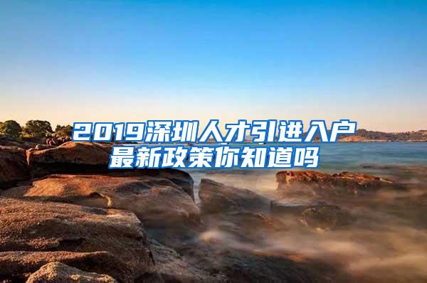 2019深圳人才引进入户最新政策你知道吗