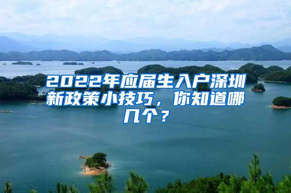 2022年应届生入户深圳新政策小技巧，你知道哪几个？