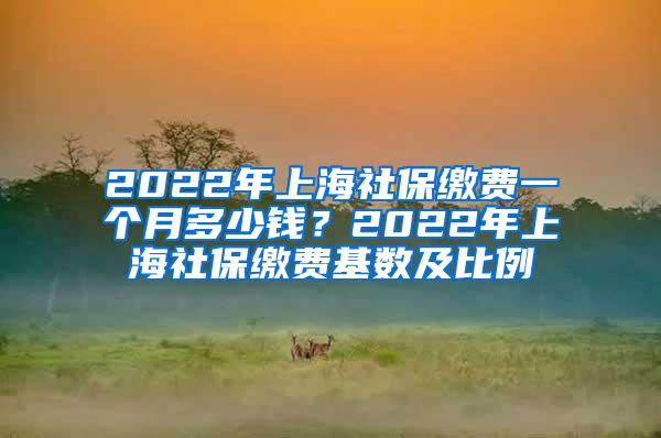 2022年上海社保缴费一个月多少钱？2022年上海社保缴费基数及比例