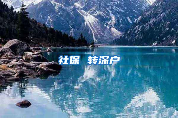 社保 转深户