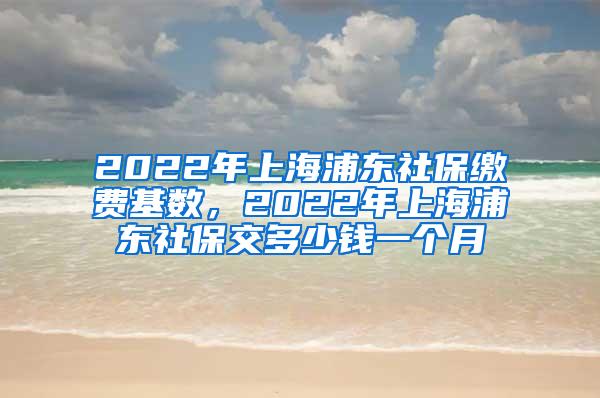 2022年上海浦东社保缴费基数，2022年上海浦东社保交多少钱一个月