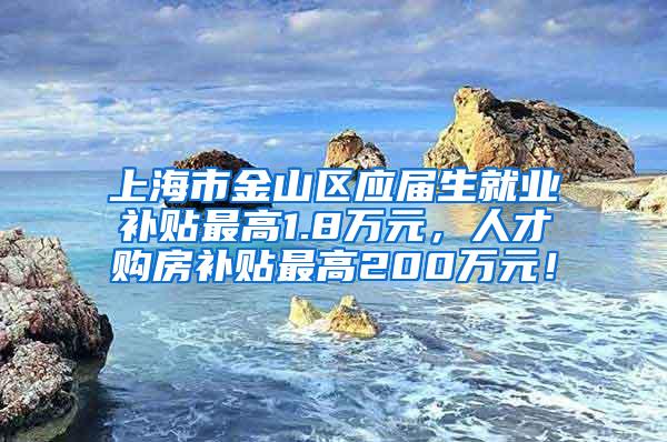 上海市金山区应届生就业补贴最高1.8万元，人才购房补贴最高200万元！