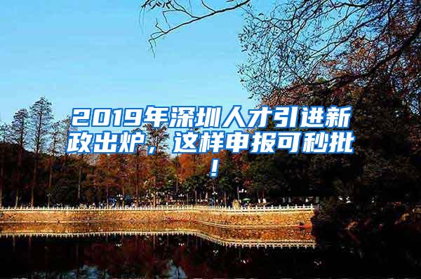 2019年深圳人才引进新政出炉，这样申报可秒批！