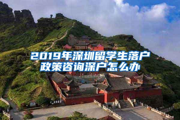 2019年深圳留学生落户政策咨询深户怎么办