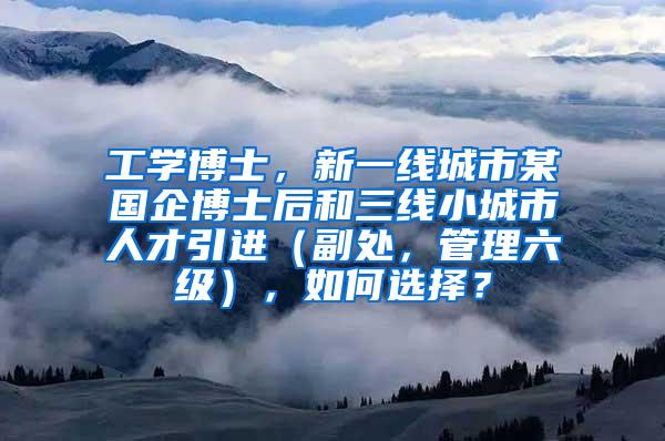 工学博士，新一线城市某国企博士后和三线小城市人才引进（副处，管理六级），如何选择？