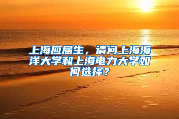 上海应届生，请问上海海洋大学和上海电力大学如何选择？