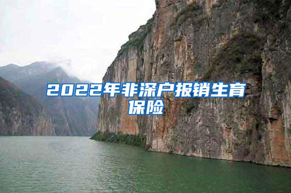 2022年非深户报销生育保险