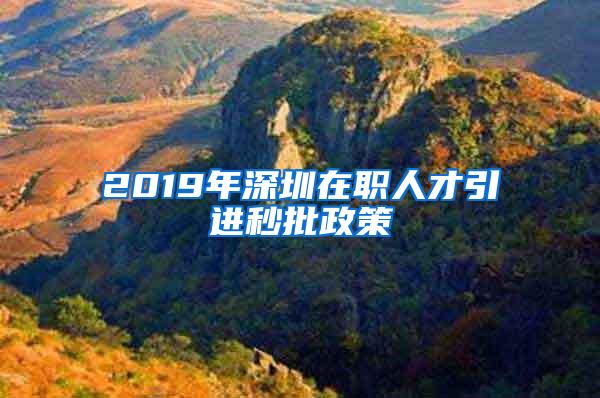 2019年深圳在职人才引进秒批政策