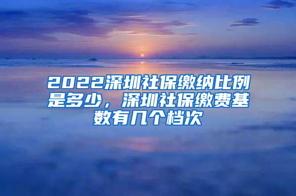 2022深圳社保缴纳比例是多少，深圳社保缴费基数有几个档次