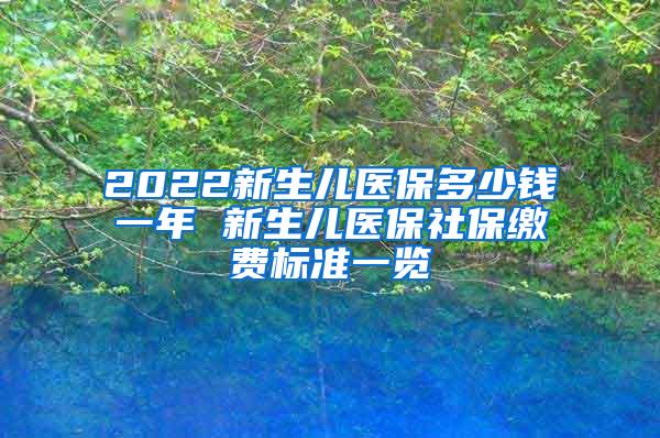 2022新生儿医保多少钱一年 新生儿医保社保缴费标准一览