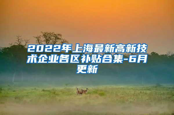 2022年上海最新高新技术企业各区补贴合集-6月更新