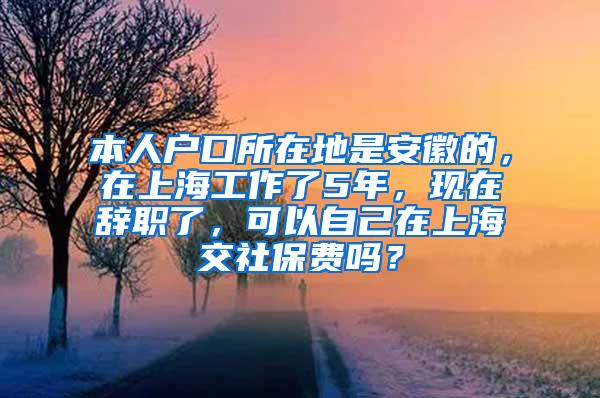 本人户口所在地是安徽的，在上海工作了5年，现在辞职了，可以自己在上海交社保费吗？