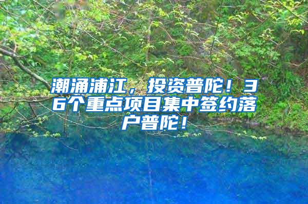 潮涌浦江，投资普陀！36个重点项目集中签约落户普陀！