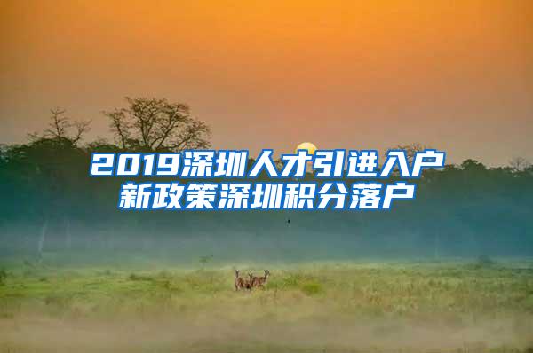 2019深圳人才引进入户新政策深圳积分落户