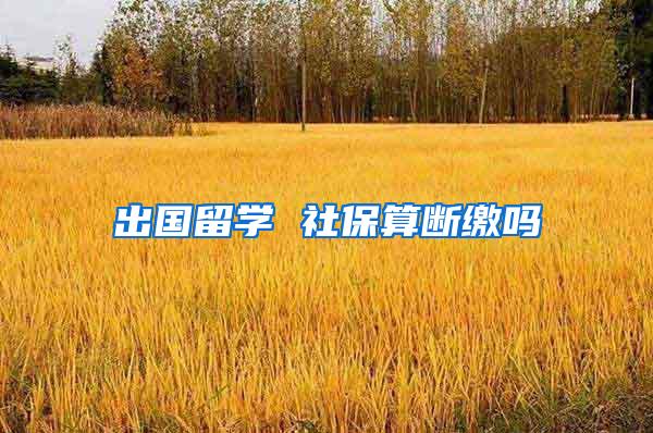 出国留学 社保算断缴吗
