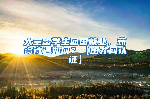 大量留学生回国就业，薪资待遇如何？【留才网认证】