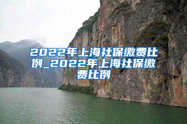 2022年上海社保缴费比例_2022年上海社保缴费比例