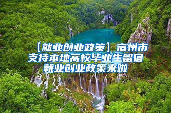 【就业创业政策】宿州市支持本地高校毕业生留宿就业创业政策来啦