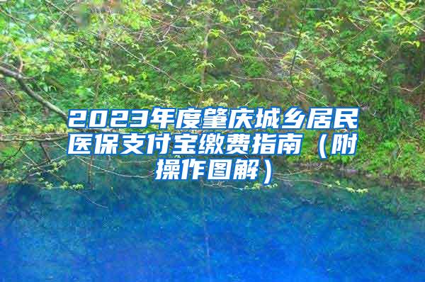 2023年度肇庆城乡居民医保支付宝缴费指南（附操作图解）