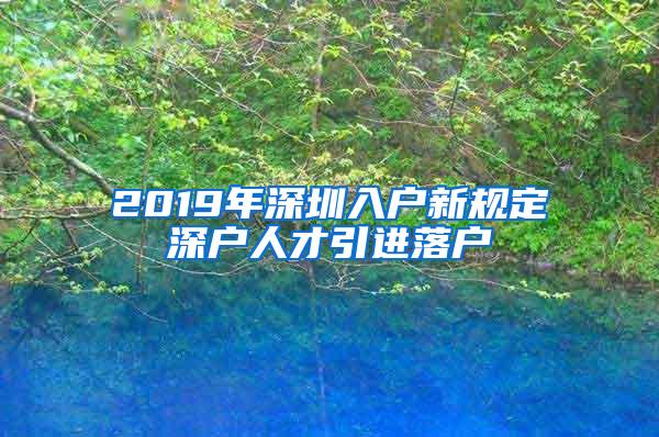 2019年深圳入户新规定深户人才引进落户